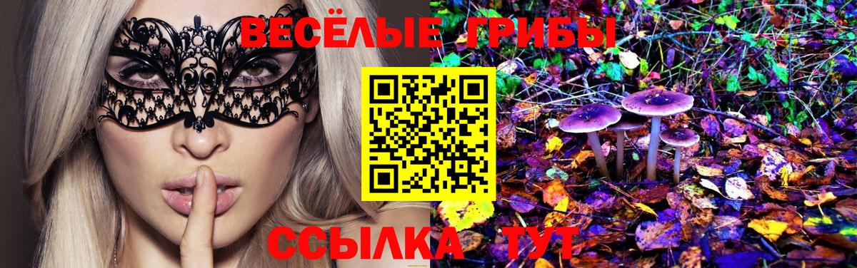 Тулун  Псилоцибиновые грибы Psilocybine cubensis  Псилоцибиновые грибы Psilocybe  Вход с VPN 